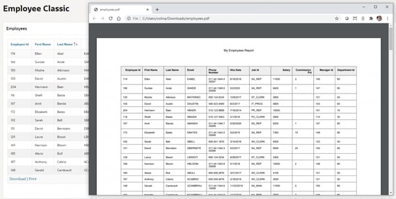 APEX 20.2 Classic Reports