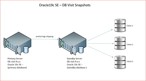 Oracle19c SE- DB Visit Snapshots
